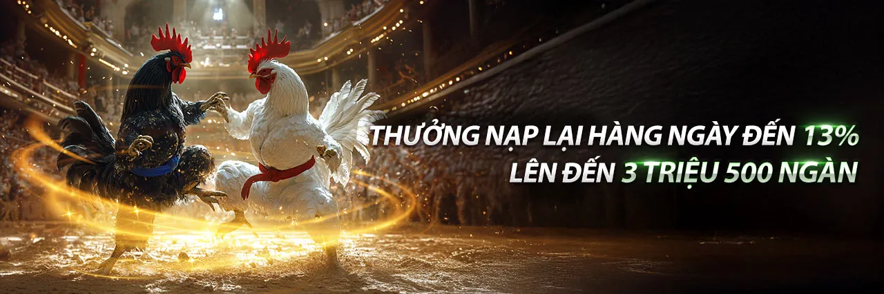 Đá gà trực tuyến kịch tính tại C54 link hôm nay, với những chiến kê dũng mãnh và sân đấu sôi động, mang đến trải nghiệm cá cược đỉnh cao.